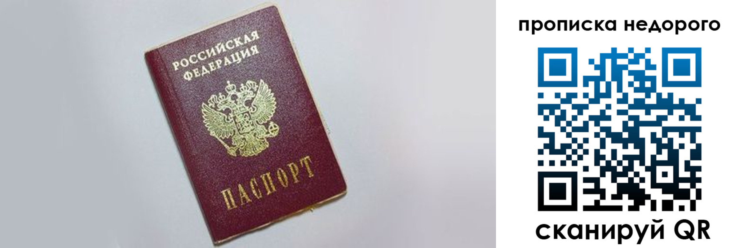 временная регистрация 2025 в Светлогорске